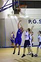 Basket 242038